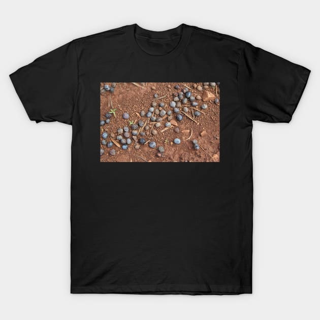 Remnants of a harvest past T-Shirt by WesternExposure